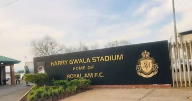 Harry Gwala Stadium