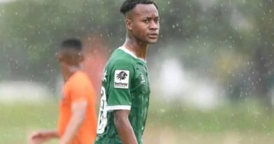 ISekhukhune iyambonga u-Otladisa, kuvela isizathu