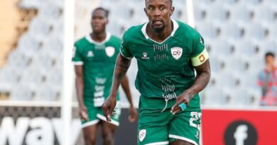 ISekhukhune nesinqumo esibalulekile ‘ngezingwevu’ zayo