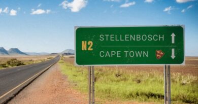 IStellies iklolodele i-Cape Town City idliwa yizembe