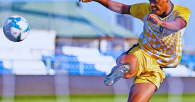 Kuvela okwenze i-Chiefs iwuyeke ususenethini ufishi omkhulu