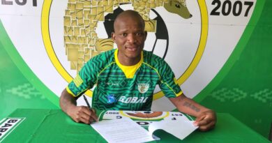 U-Phalane useyazisola ngokubhampela izinkunzi zaseGauteng 