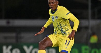 AmaZulu aseqalile ukuvuselela iqembu ngaphansi kukaZwane
