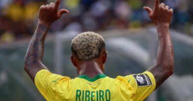 Bekumnandi sisonke, kusho uLucas Ribeiro kwiDowns