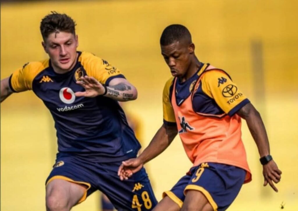 OweChiefs ukhuzela u-Ashley Du Preez kwabamsolayo