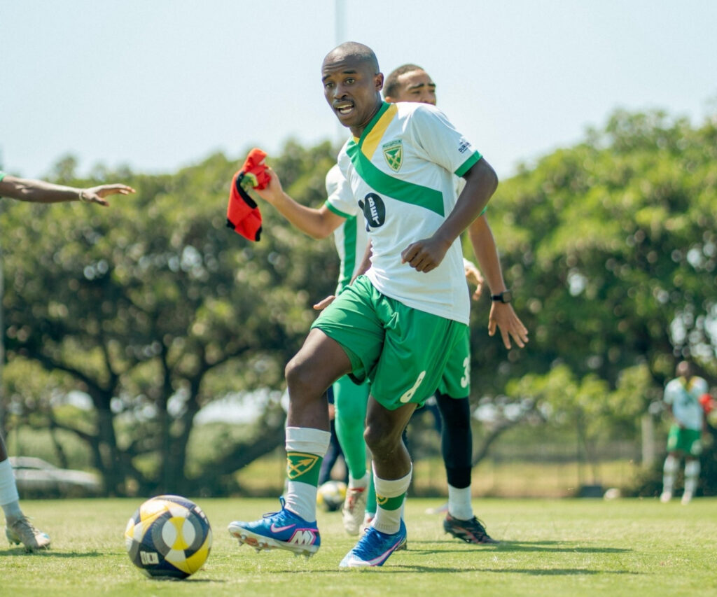 Owe-Arrows uxwayisa izinkunzi zakuleli ngoNdlovu