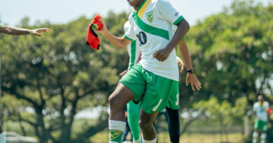 Owe-Arrows uxwayisa izinkunzi zakuleli ngoNdlovu