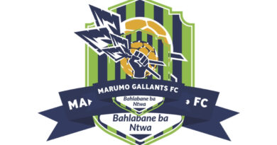 Marumo Gallants further stated that Mohafe's experience and his ability to work well with players of different ages make him the right fit to lead the team.