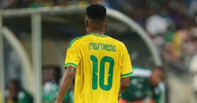 Steven Pienaar said the World Cup will provide Relebohile Mofokeng with a massive stage to showcase his talent.