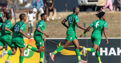 Lekoloane then capped off a great day by scoring his first goal for the team three minutes before the end of the first half, putting AmaZulu 2-0 ahead.