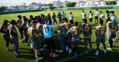 Muhsin Ertugral said that what is important is for Fernando Da Cruz to quickly understand how South African players operate.