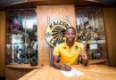 IChiefs isigcine isikhiphile isinqumo ngoCele