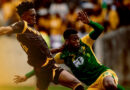 Golden Arrows remain the only team to have defeated Kaizer Chiefs this season, having knocked Amakhosi out of the MTN8 in August.