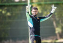 If this is true, it is clear that Fernando Da Cruz is in a difficult dilemma, as Brandon Petersen is struggling to rediscover his form from last season.