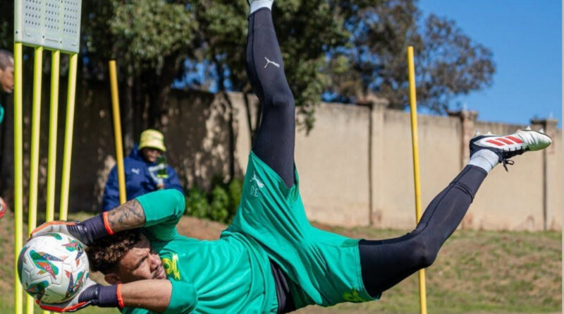 Ronwen Williams is well aware that Al-Ahli possess players who can punish Sundowns if they leave spaces open.