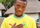 However, Lazola Maku faces an uphill battle to secure a place in Miguel Cardoso's squad at Mamelodi Sundowns.